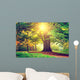 Beautiful Park Tree