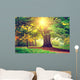 Beautiful Park Tree
