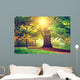 Beautiful Park Tree