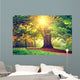 Beautiful Park Tree