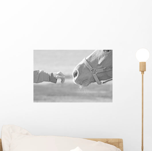 Horse Wall Mural