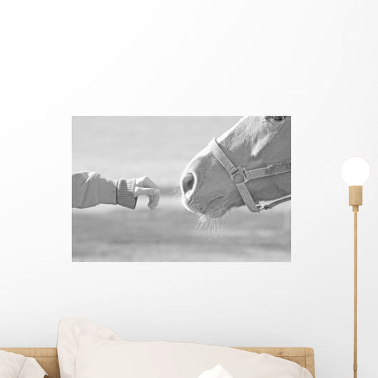 Horse Wall Mural
