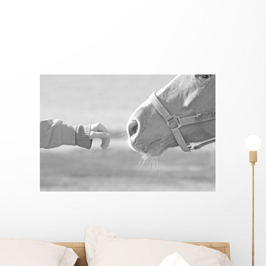 Horse Wall Mural