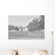 Horse Wall Mural