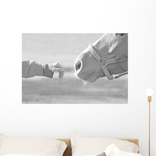 Horse Wall Mural