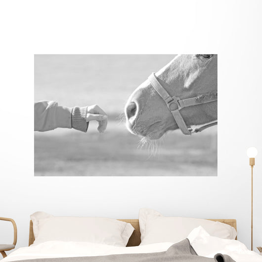 Horse Wall Mural
