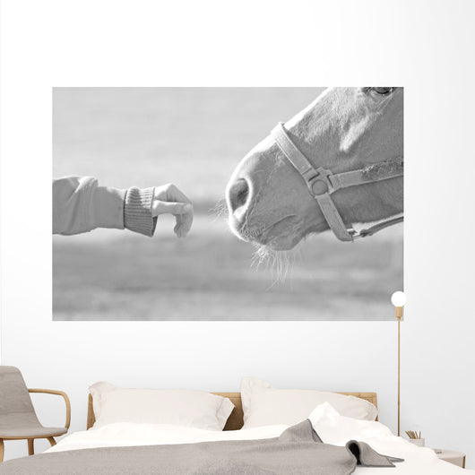Horse Wall Mural