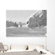 Horse Wall Mural