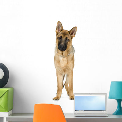 German Shepherd Wall Decal shown on a wall