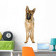 German Shepherd Wall Decal