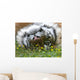 Gros Chat Wall Mural