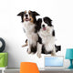 Two Dogs