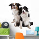 Two Dogs