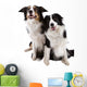 Two Dogs
