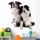 Two Dogs