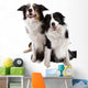 Two Dogs