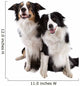Two Dogs