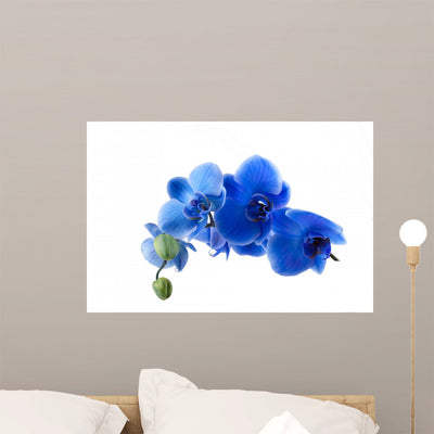 Blue Orchid Cut and Wall Decal shown on a wall