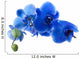 Blue Orchid Cut and Isolated Wall Decal