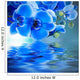 Orchid Bouquet and Reflection