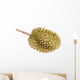 Durian Fruit