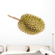 Durian Fruit