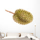 Durian Fruit
