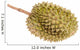 Durian Fruit