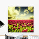 Spring tulips Wall Mural