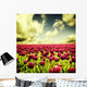 Spring tulips Wall Mural