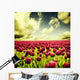 Spring tulips Wall Mural