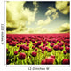 Spring tulips Wall Mural