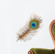Peacock Feather Wall Decal