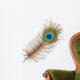 Peacock feather Wall Decal