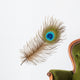 Peacock feather Wall Decal