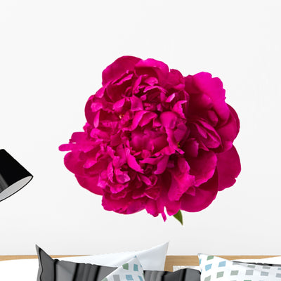 Red Peony Wall Decal shown on a wall