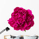 red peony isolated Wall Decal