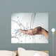 human hands with water splashing on them Wall Mural
