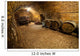 Millennium Cellar