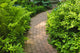 Brick Path Landscaped Garden