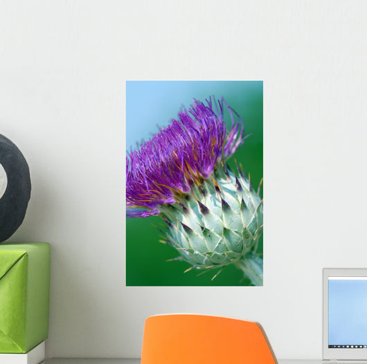 Milk Thistle Wall Mural