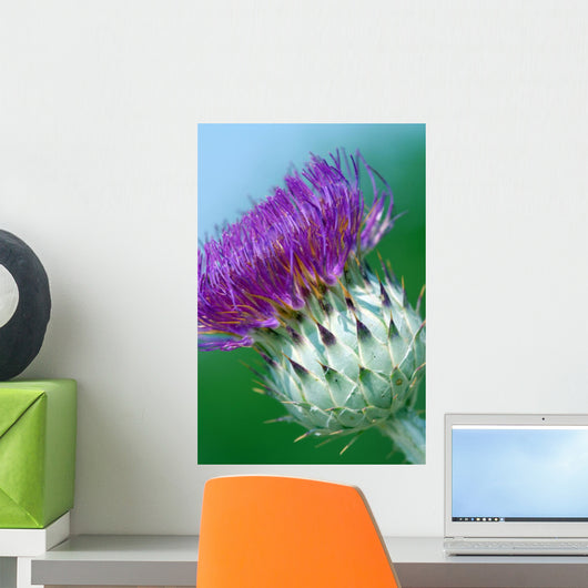 Milk Thistle Wall Mural