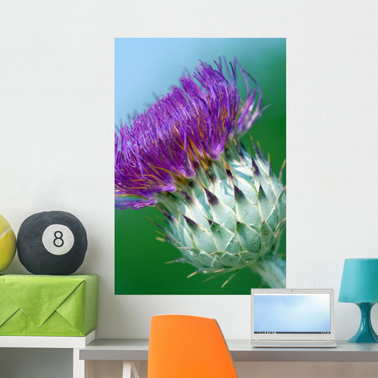 Milk Thistle Wall Mural