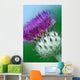Milk Thistle Wall Mural