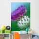 Milk Thistle Wall Mural