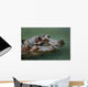 Hippos Wall Mural