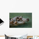 Hippos Wall Mural