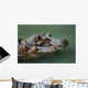 Hippos Wall Mural