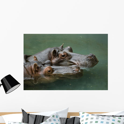 Hippos Wall Mural