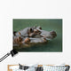 Hippos Wall Mural